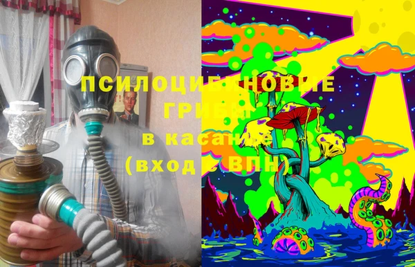 мяу мяу мука Зерноград