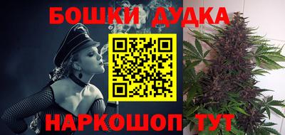 сатива Кохма