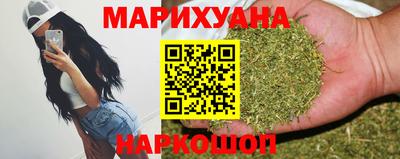 сатива Кохма