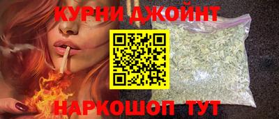 сатива Кохма